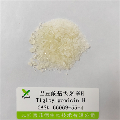巴豆?；昝仔罤|66069-55-4
